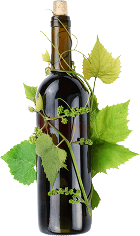 Bouteille